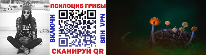 Купить закладки Заволжье Псилоцибиновые грибы мухоморы